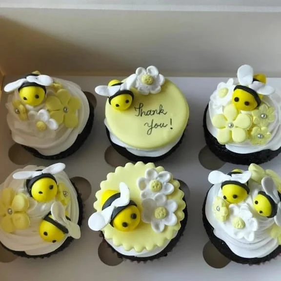 Freshly baked cupcakes for celebrations in Lahore